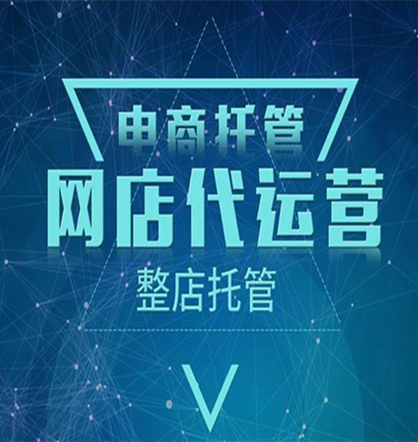 毓秀科技-代运营